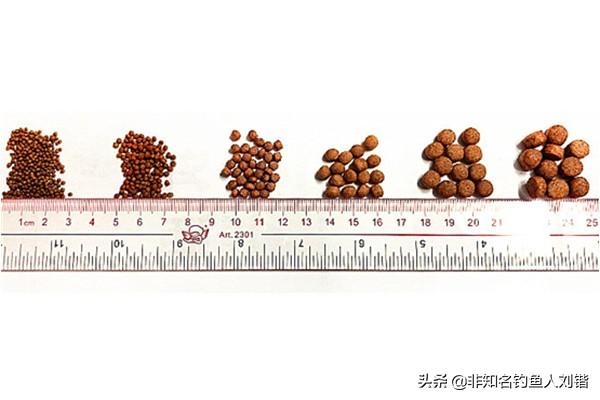 致富养殖网_致富经种植养殖全部视频_颗粒养殖致富