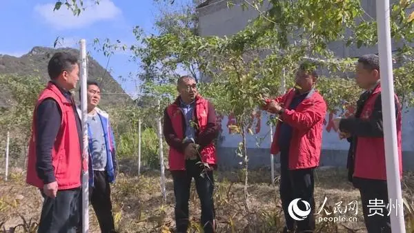 种植白芨前景_白芨种植致富故事_致富种植故事白芨是什么