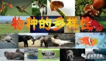 青蛙养殖技术农广天地_青蛙养殖技术农广天地_青蛙养殖技术农广天地