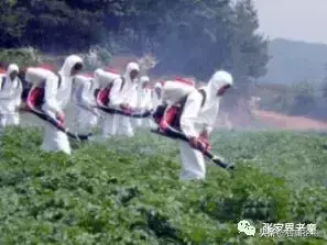 青蛙养殖技术农广天地_青蛙养殖技术农广天地_青蛙养殖技术农广天地
