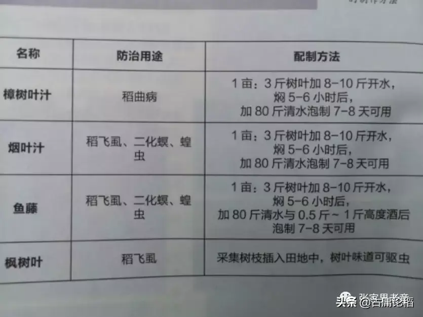 青蛙养殖技术农广天地_青蛙养殖技术农广天地_青蛙养殖技术农广天地