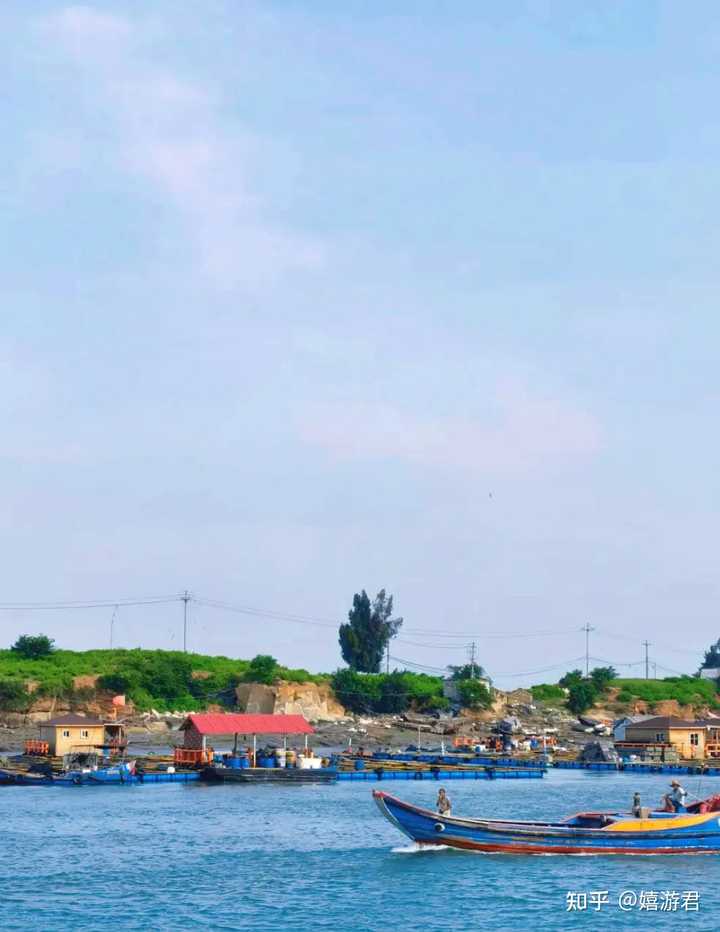 板栗烧鸡板栗苦_糖炒板栗的做法糖炒板栗的家_致富经板栗姐