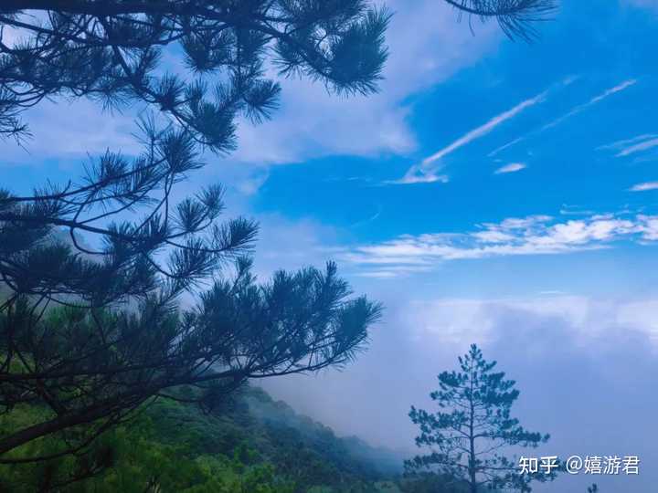 糖炒板栗的做法糖炒板栗的家_板栗烧鸡板栗苦_致富经板栗姐