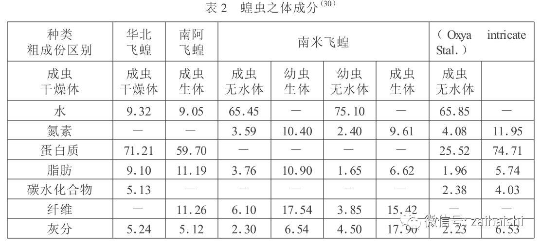 视频致富养鸭技术教学_致富经养鸭技术视频_视频致富养鸭技术大全