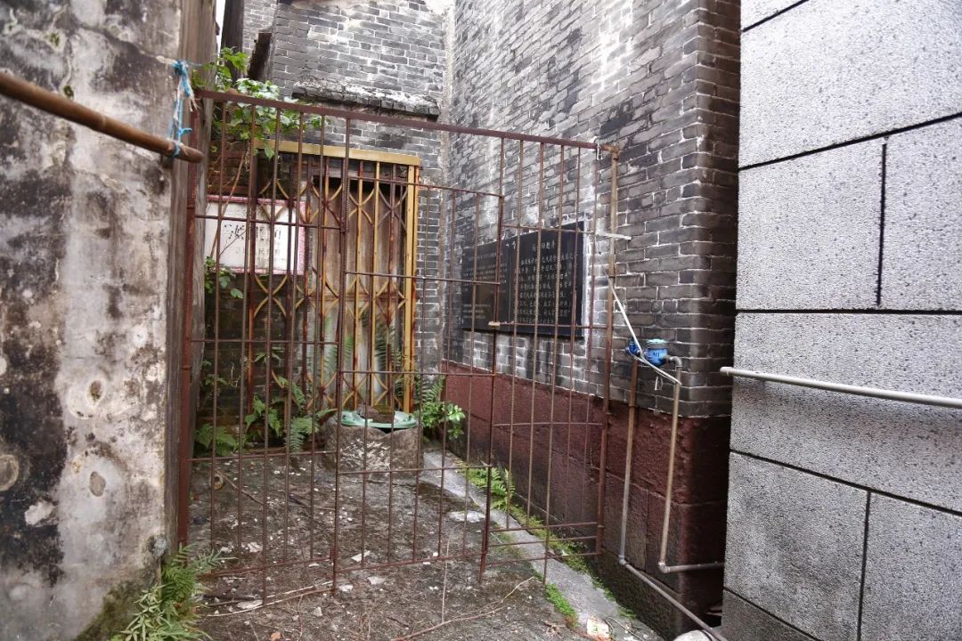 稔子栽培技术_稔子种植前景_种植稔子致富