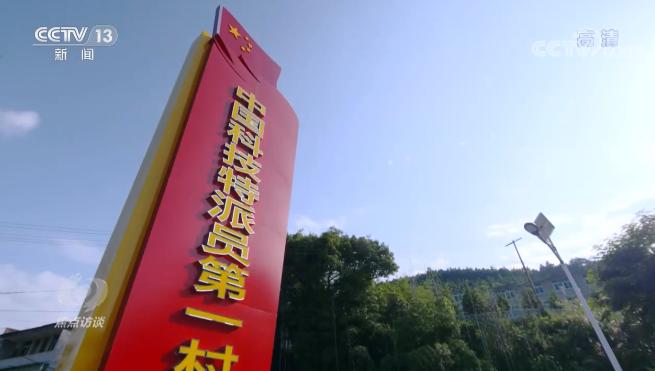 农村致富新项目种植_农村科技种植致富_农村致富项目种植