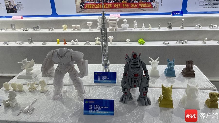 鸭子海南养殖技术视频_海南鸭子养殖合作社_海南鸭子养殖技术