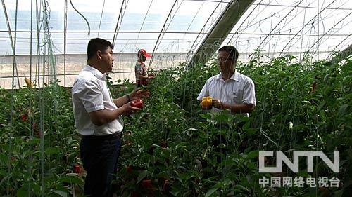 致富经武耀华记者_致富经武耀华记者_致富经武耀华记者