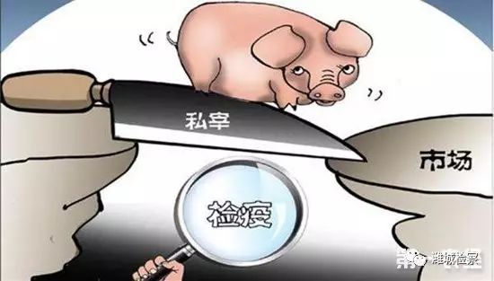 杀猪卖肉赚钱吗_致富杀猪卖肉的小说_致富经杀猪卖肉