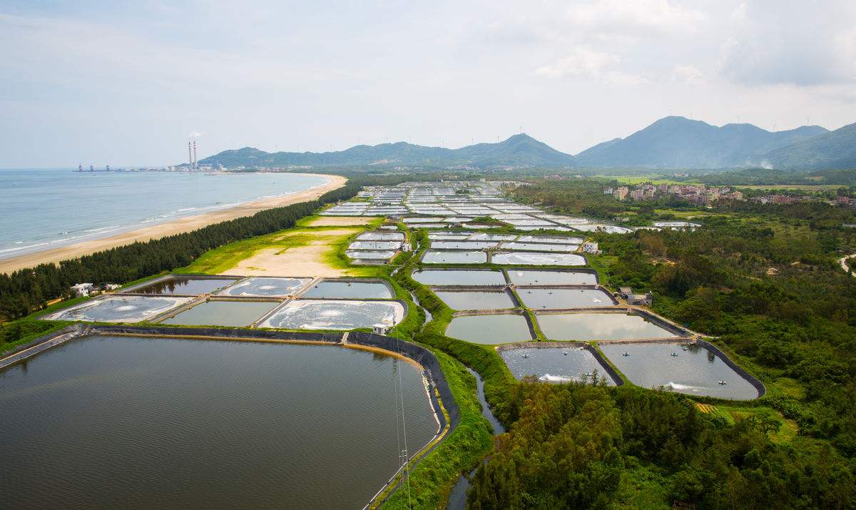 龙虾养殖好技术有哪些_龙虾养殖技术那里好_龙虾养殖技术资料