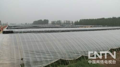 致富经武耀华记者_致富经武耀华记者_致富经武耀华记者