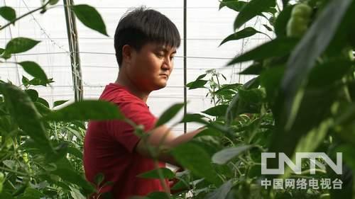致富经武耀华记者_致富经武耀华记者_致富经武耀华记者