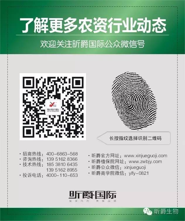 春季黄瓜种植技术视频_早春黄瓜种植技术_设施黄瓜早春栽培