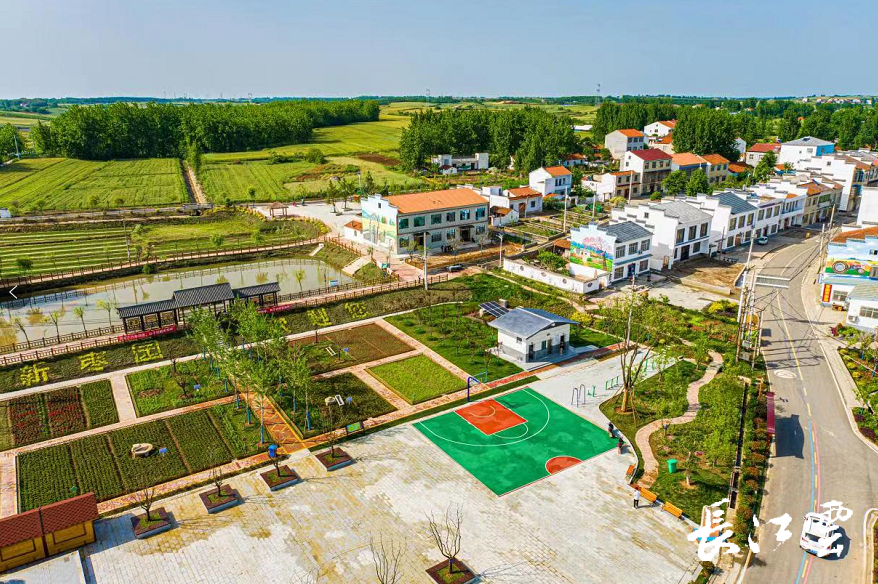 湖北地区一般种植什么树比较好_湖北种植致富树_湖北种植业什么最赚钱农村
