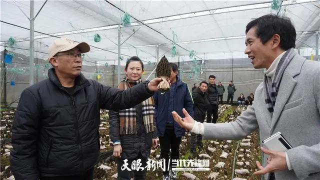 羊肚菌种植技术_羊肚菌种植技术培训视频_种羊肚菌视频
