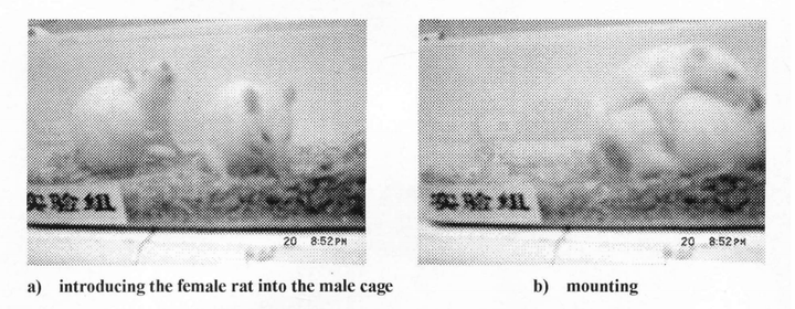 中央七致富经之枸杞_致富经枸杞种植视频_中央农业频道致富鱼