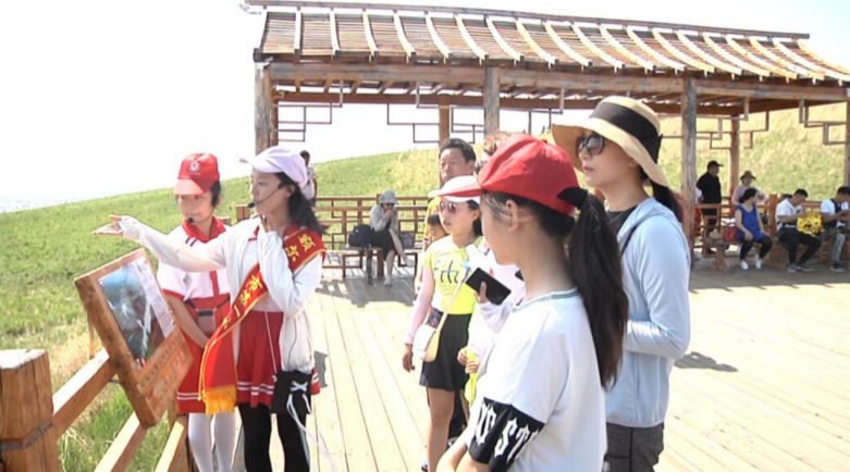 致富经鸭子养殖视频_致富经番鸭_致富经番鸭养殖