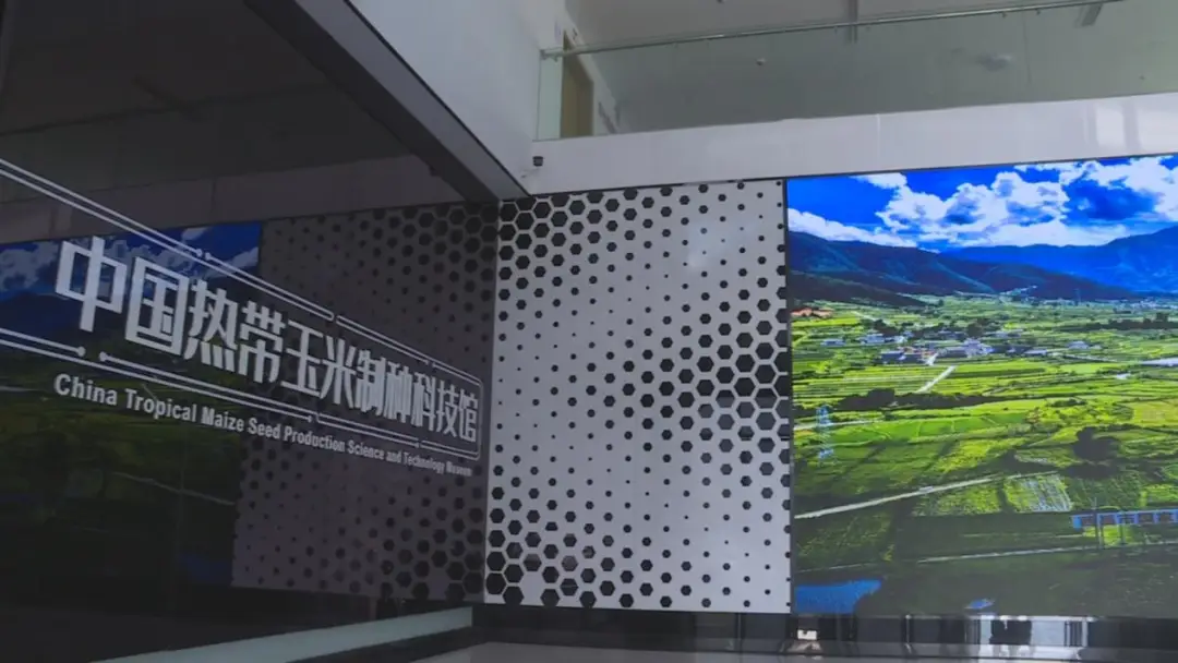 西昌立体种养致富经_西昌立体种养致富经_西昌立体种养致富经