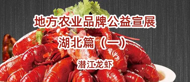 潜江龙虾 红遍天下