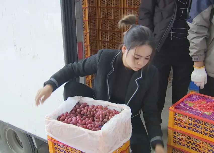 西昌立体种养致富经_西昌立体种养致富经_西昌立体种养致富经