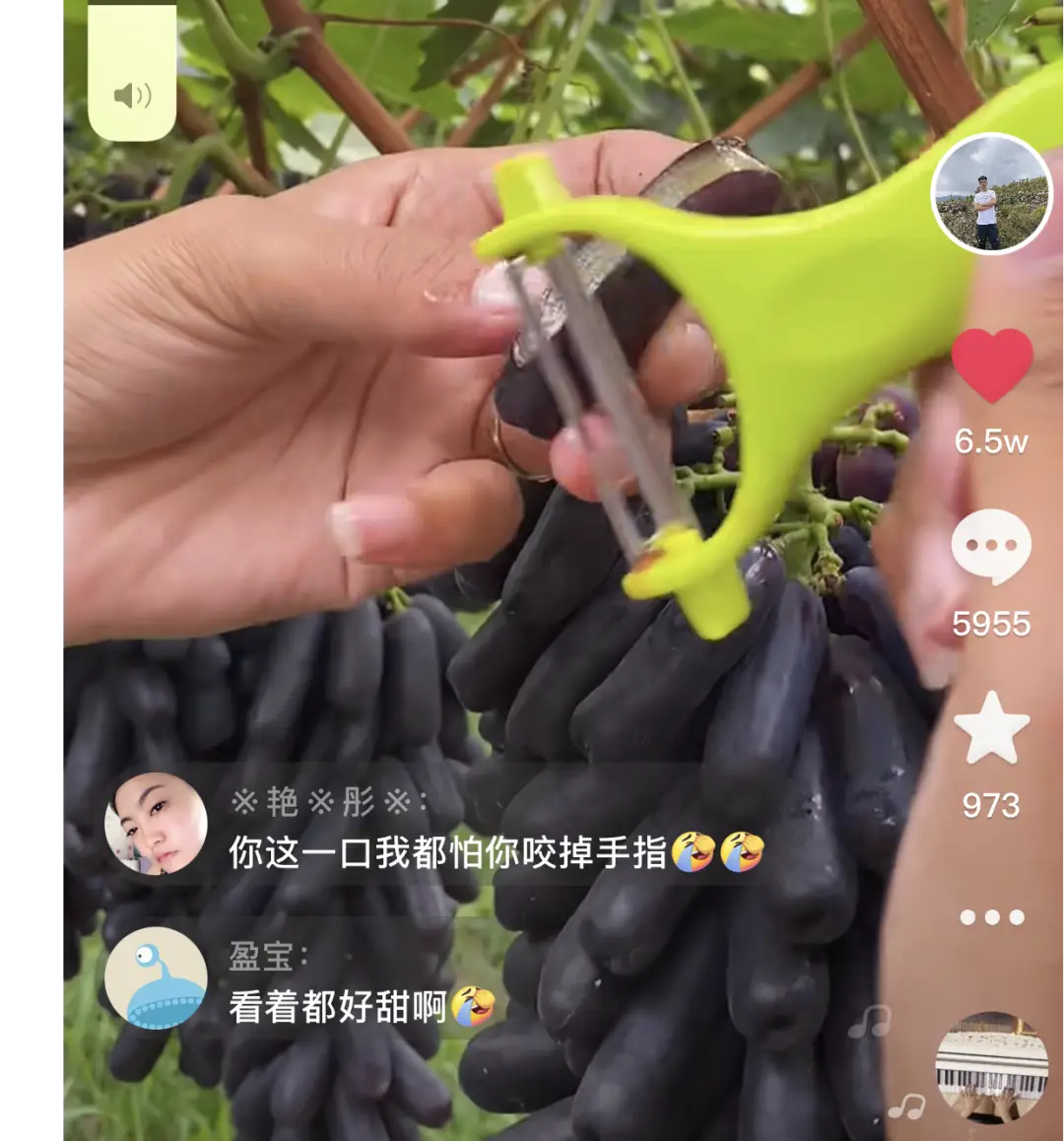 西昌立体种养致富经_西昌立体种养致富经_西昌立体种养致富经