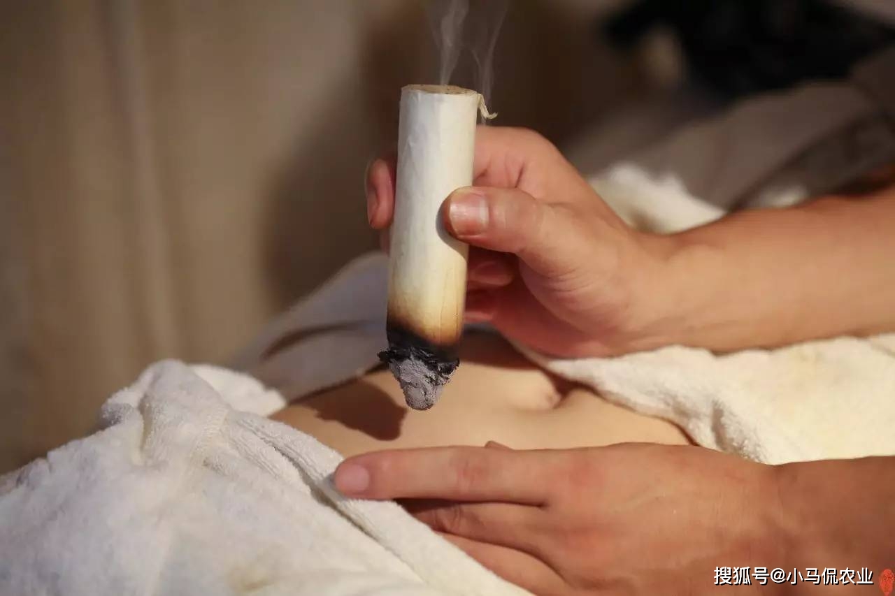 美女种植药材致富_致富经种植中药材视频_致富药材种植美女是谁