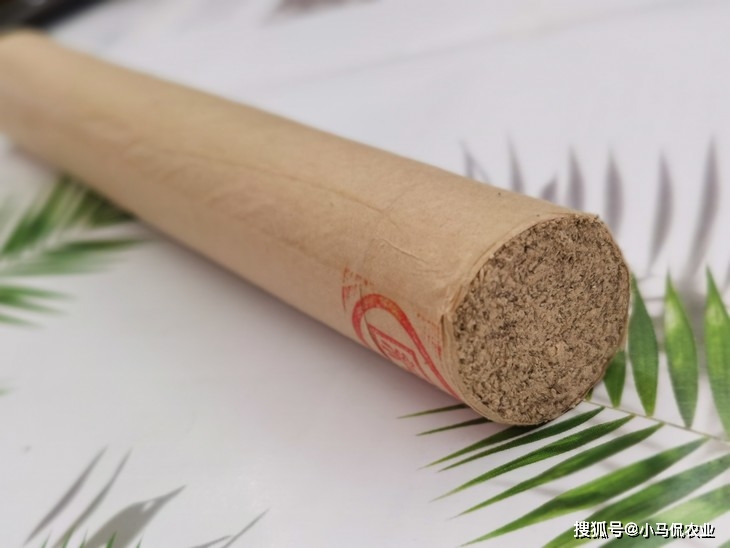 致富药材种植美女是谁_致富经种植中药材视频_美女种植药材致富