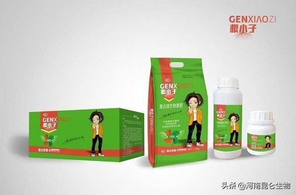 北方西兰花的种植技术_兰花在北方怎么养_西北养兰花