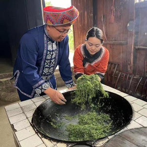 藤茶种植技术视频_致富种植藤茶图片_藤茶种植致富