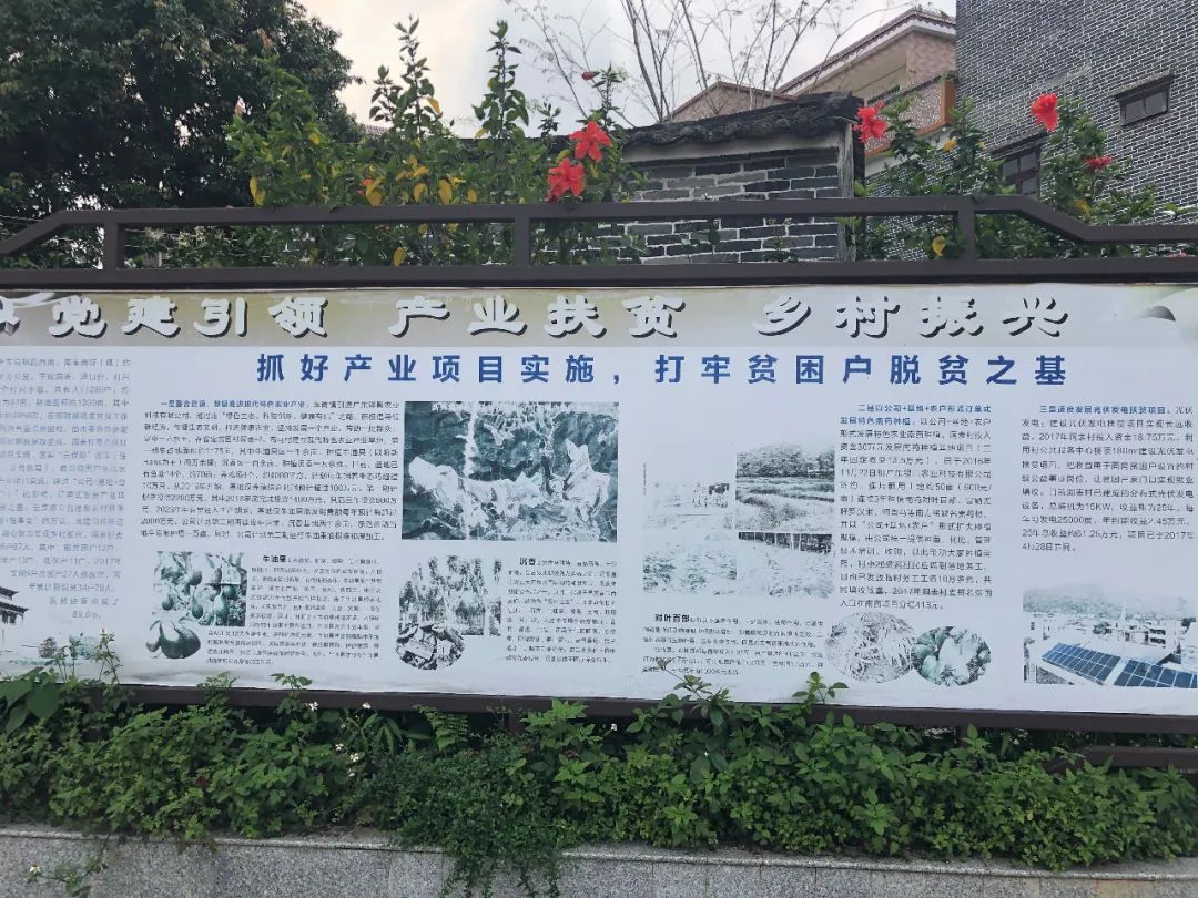 致富经牛油果种植_致富种植果牛油果图片_致富种植果牛油果好吗