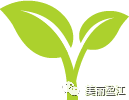 致富经牛油果种植_种植牛油果前景_致富种植果牛油果图片