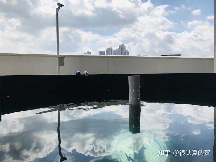 致富经工厂化养鱼_致富经创业项目养鱼_致富经工厂化循环水养鱼视频