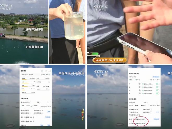致富养殖鲈鱼技术培训_致富养殖鲈鱼技术要求_致富经鲈鱼养殖技术