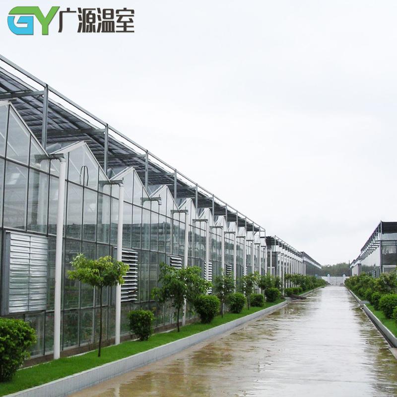大棚草莓怎样种植技术_大棚种植草莓技术书_大棚种植草莓技术视频