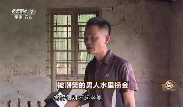 致富养殖青蛙_致富养殖青蛙_致富养殖青蛙