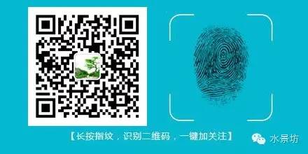 菲花玉养殖技术_菲花玉开花_菲花玉开花后的管理