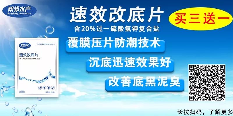 河蟹养殖池图片_养殖池塘技术河蟹视频_河蟹之池塘养殖技术
