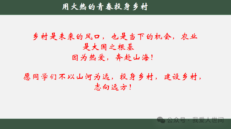 头条优质回答评判标准_电商之路经验_优质回答的经验之路