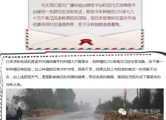 孟州的倭瓜为啥卖不出去？
