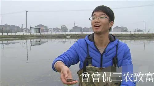 江苏省鳜鱼养殖致富经_江苏鳜鱼价格_江苏那里养植桂鱼