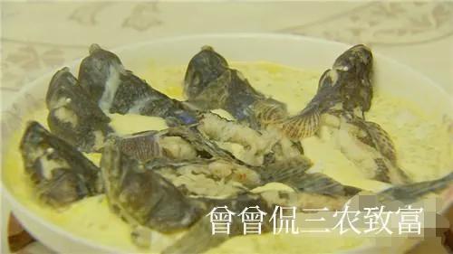 江苏鳜鱼价格_江苏那里养植桂鱼_江苏省鳜鱼养殖致富经
