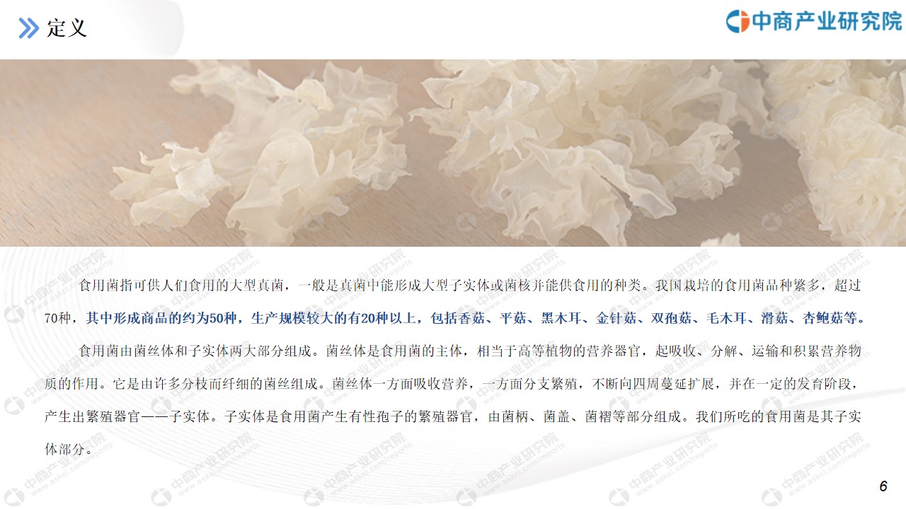 广东菌类种植技术_种植广东菌类技术要求_种植广东菌类技术规范