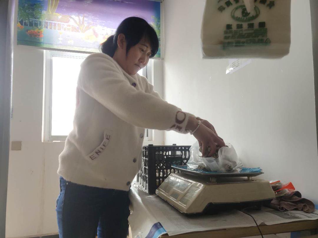 致富养殖能手小说_致富养殖能手小说全文_养殖致富小能手