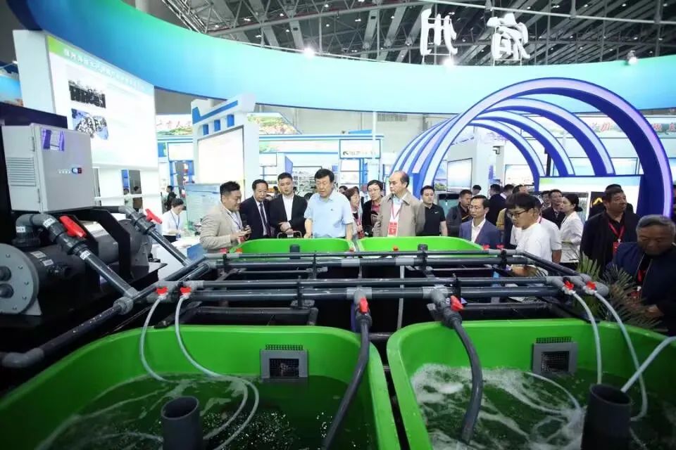 安徽淡水鱼养殖基地_安徽鱼业养殖技术_安徽养鱼大户电话