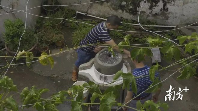 南方农业种植致富_南方种植农作物_南方农业种植什么好项目有哪些