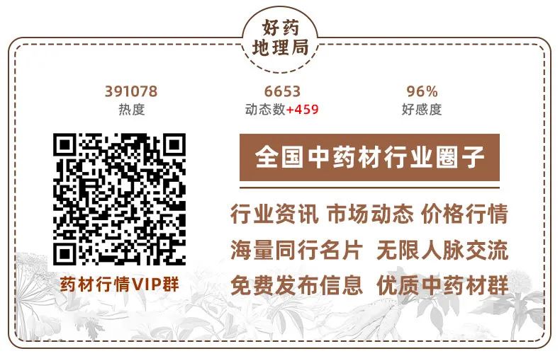 山西苍术分布情况_山西哪里盛产苍术_山西苍术种植致富