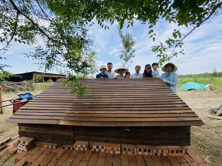 养鹅致富案例_每日农经致富经百子鹅_养鹅致富经视频