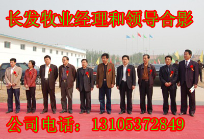 贵州养牛大户_致富经广东人贵州养牛_广东人在贵州养牛