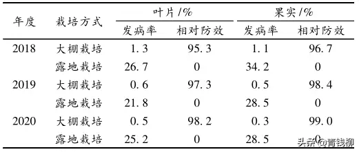 茄子褐纹病发生症状及其防控技术