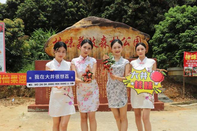 桂味荔枝产地_桂味荔枝价格_桂味种植管理技术